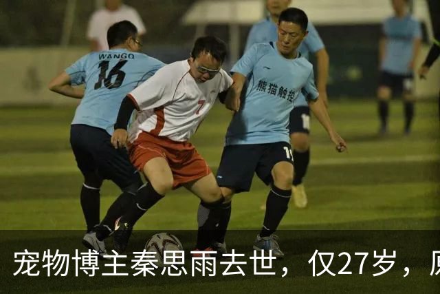 宠物博主秦思雨去世，仅27岁，原因曝光太痛心，疑与流浪猫狗有关