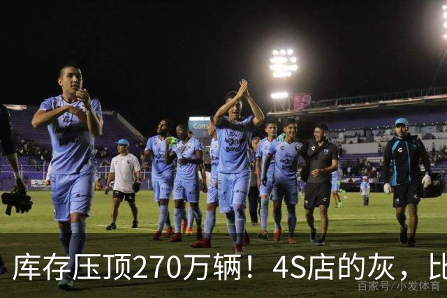 库存压顶270万辆！4S店的灰，比销量榜更诚实！